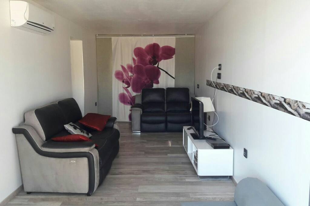 Le salon avec la television