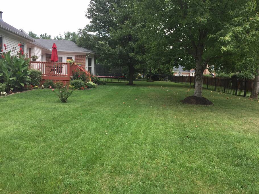 Spacious backyard