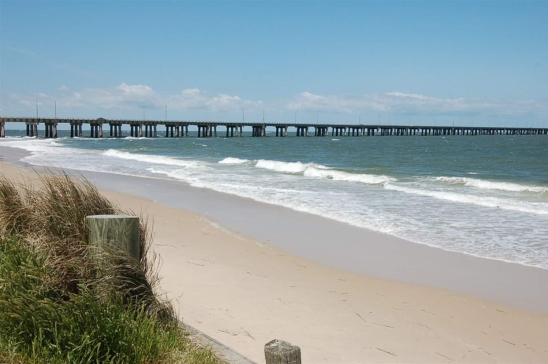 Virginia Beach 2 King BR apt 100 feet from beach