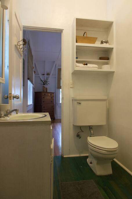 Blue Morpho Bathroom