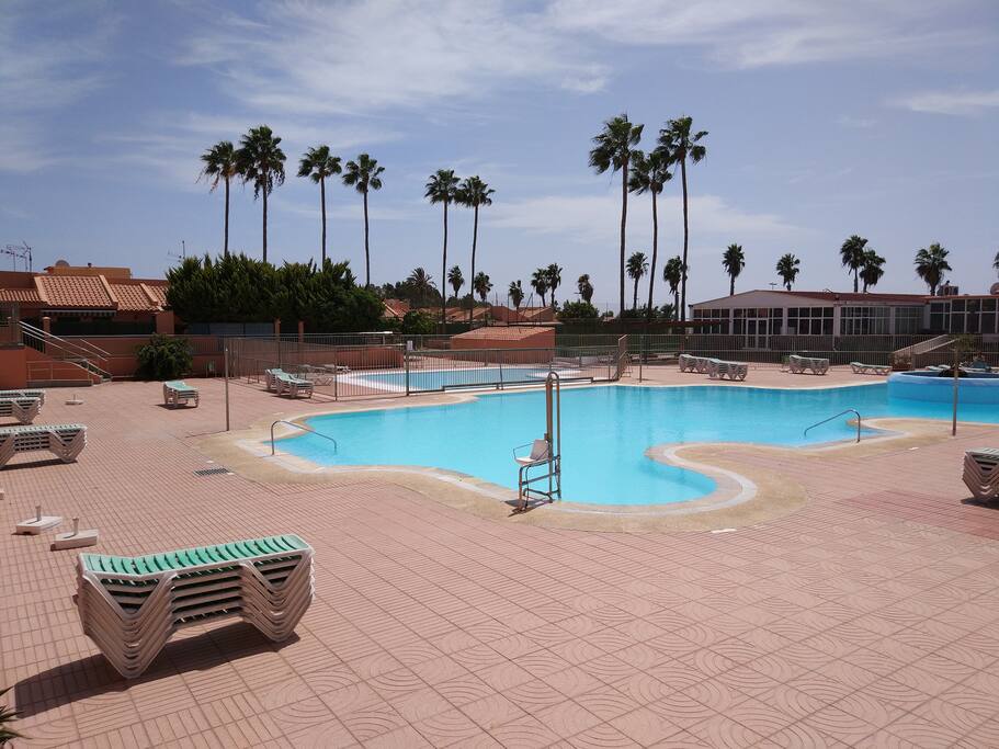 The Swimming pool in the morning