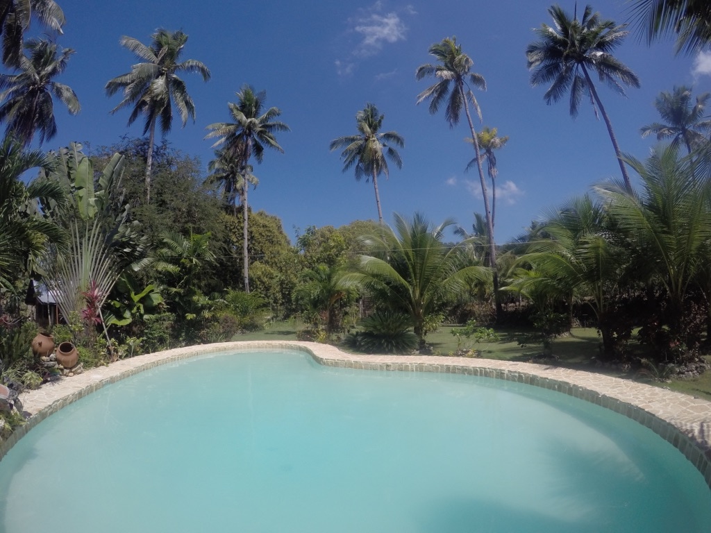 A serene pool is nestled among lush tropical vegetation, featuring clear blue water that reflects the surrounding palm trees and vibrant greenery. The landscape is filled with various plants, creating a peaceful natural setting.