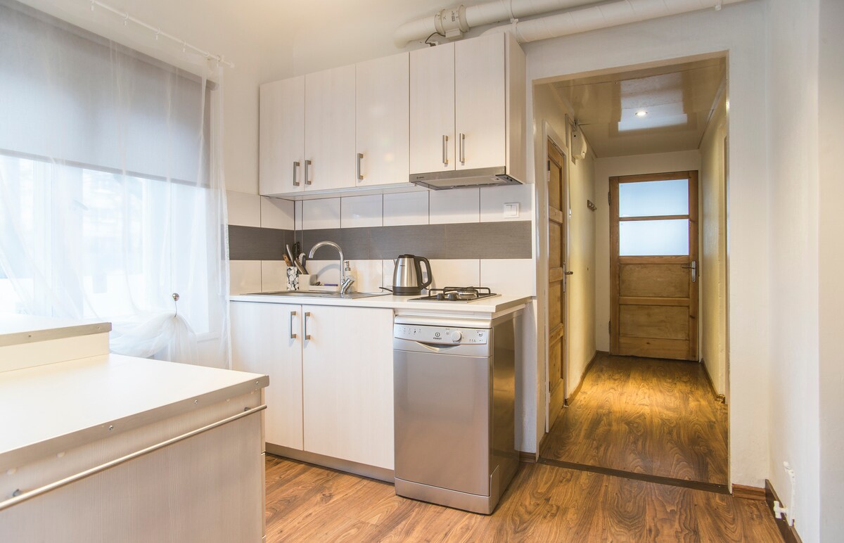 A modern kitchen is equipped with essential appliances, including a stainless steel dishwasher and a gas stove. Light-colored cabinetry contrasts with a dark accent wall, allowing natural light to brighten the space. A doorway leads to a hallway with wooden accents.