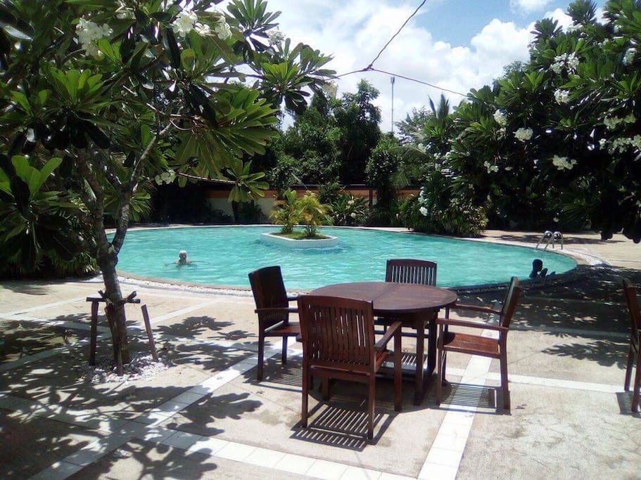 Swimming pool with sun lounges and trees for shade