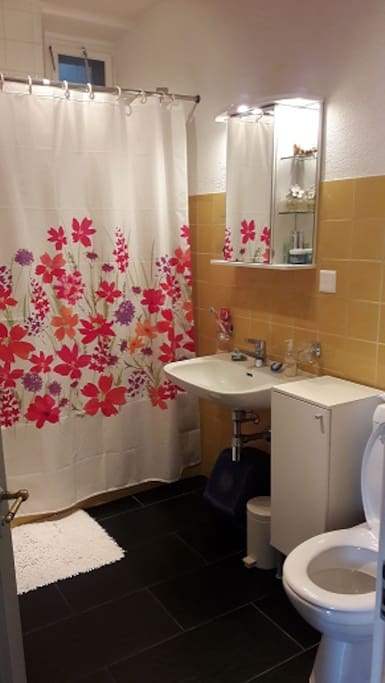 This is the shared bathroom. Shower or bath.