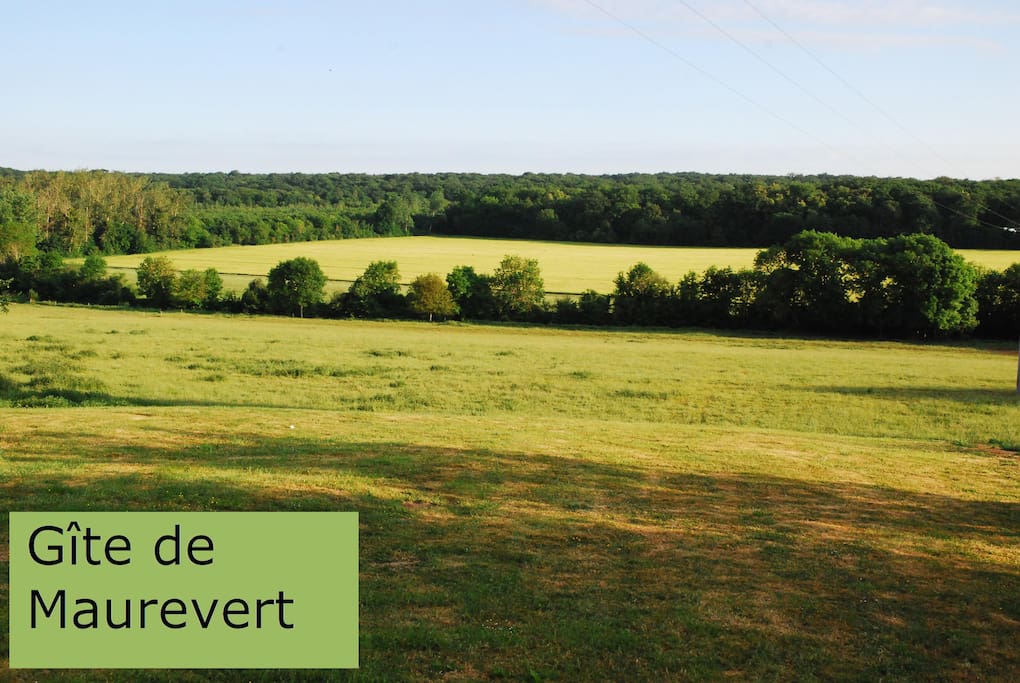 Vue sur l'Yerres