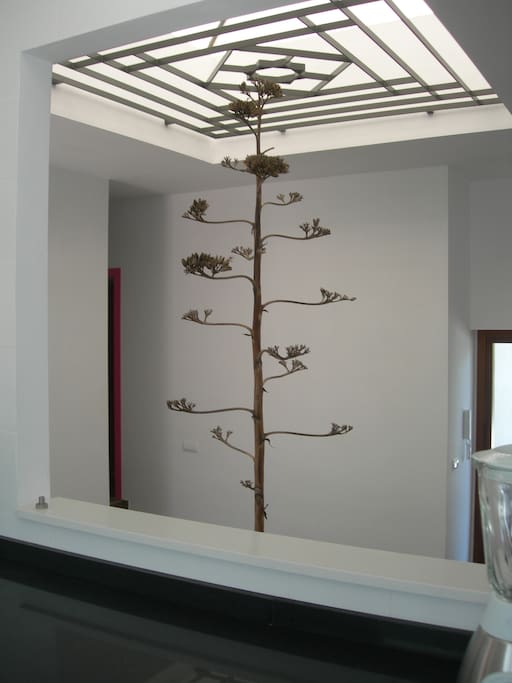 Le patio au coeur de la maison