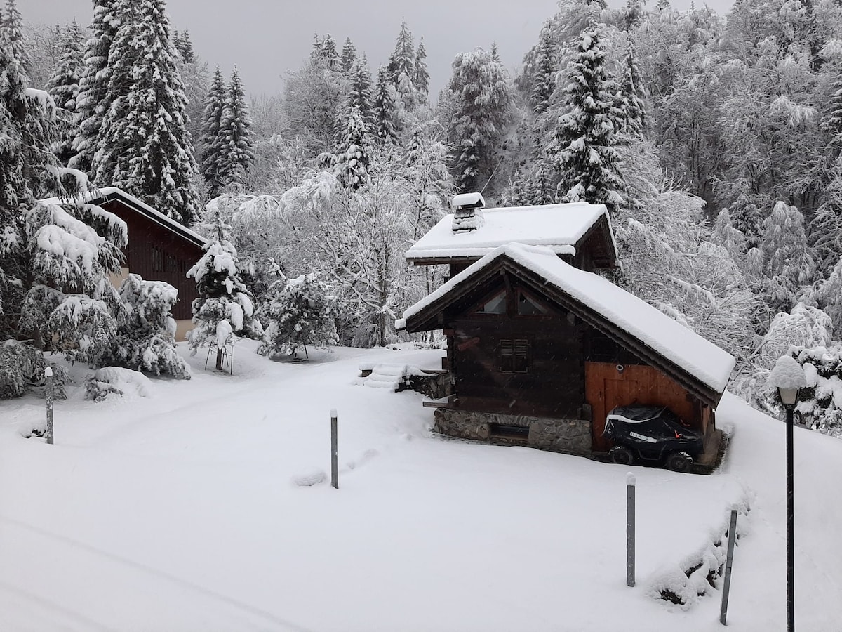 Popular Airbnb listing: Cozy ski-in/out apartment in Morillon