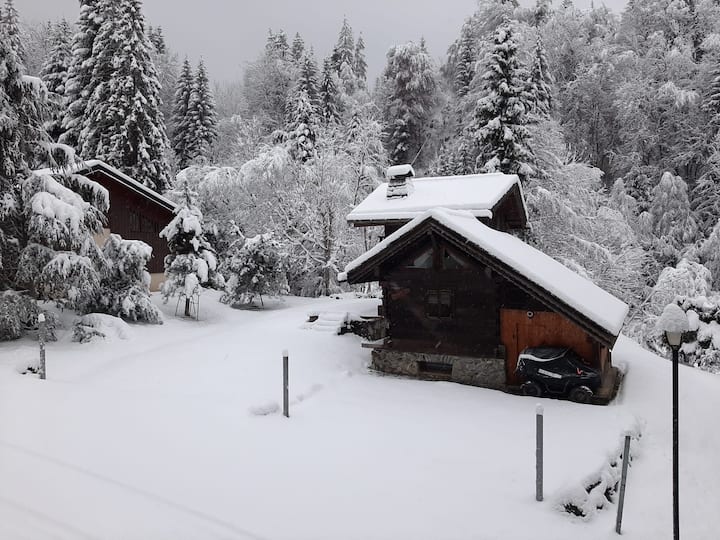 Appartement Cosy Au Pied Des Pistes - Morillon