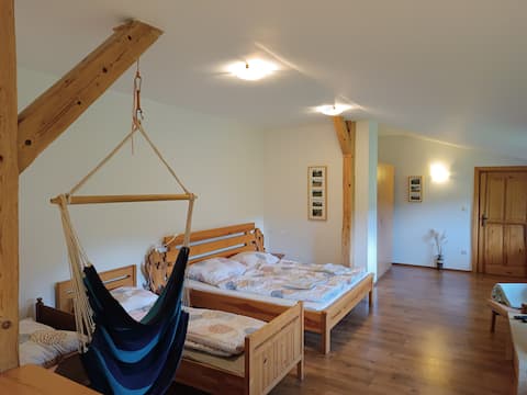 Accommodation in Horní Teplice