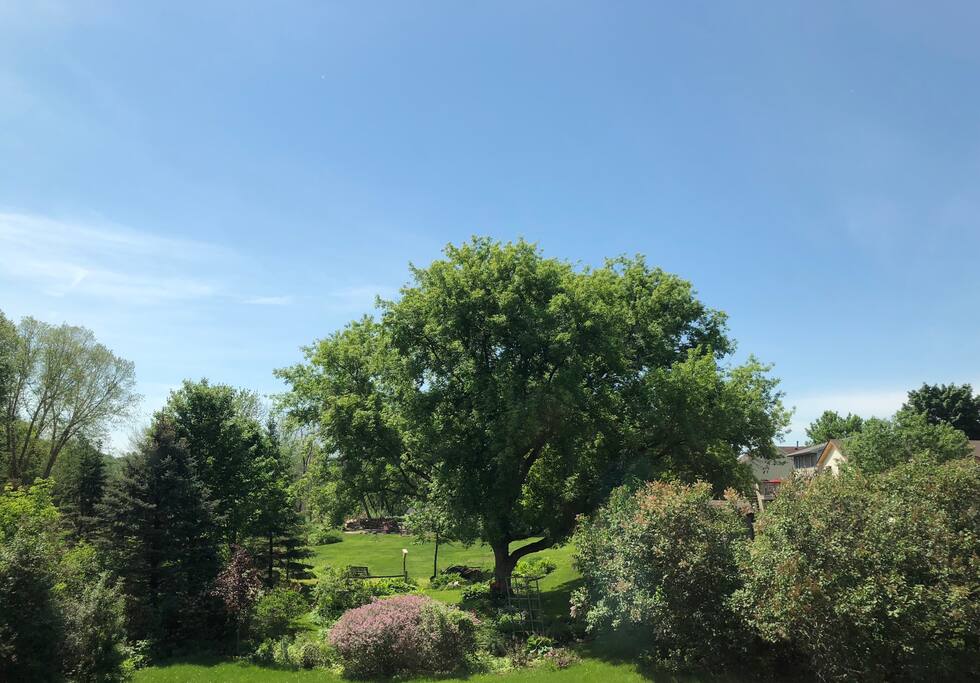 Enjoy refreshing coffee watching birds and revitalizing view