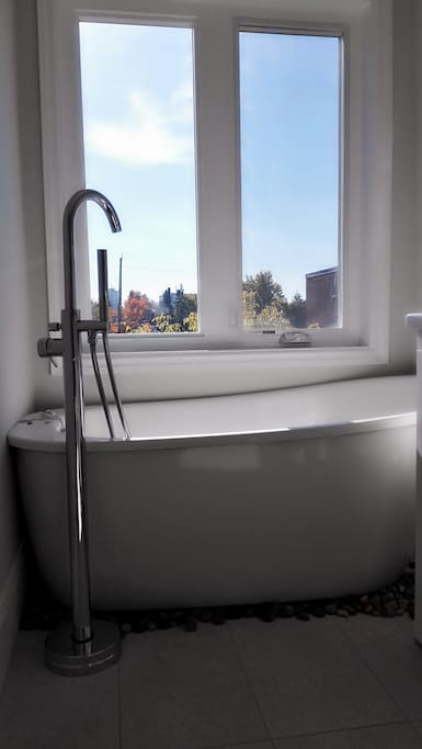 Master Washroom Free standing Bath tub
