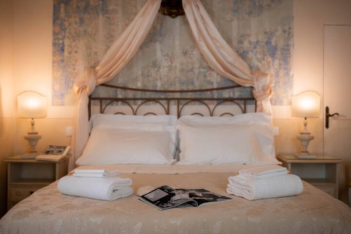 Novella House gallery image 4