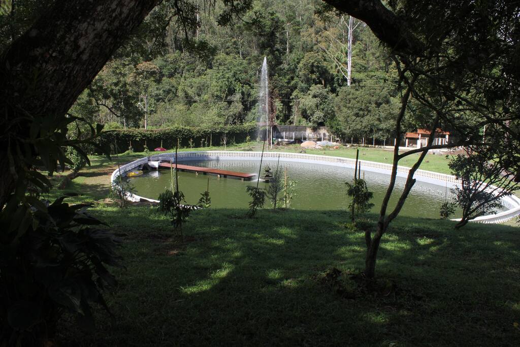 Lago lindo com peixes.