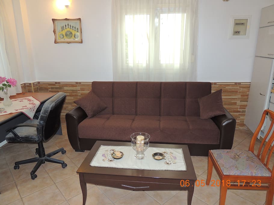 LIVING ROOM WITH SOFA-DOUBLE BED