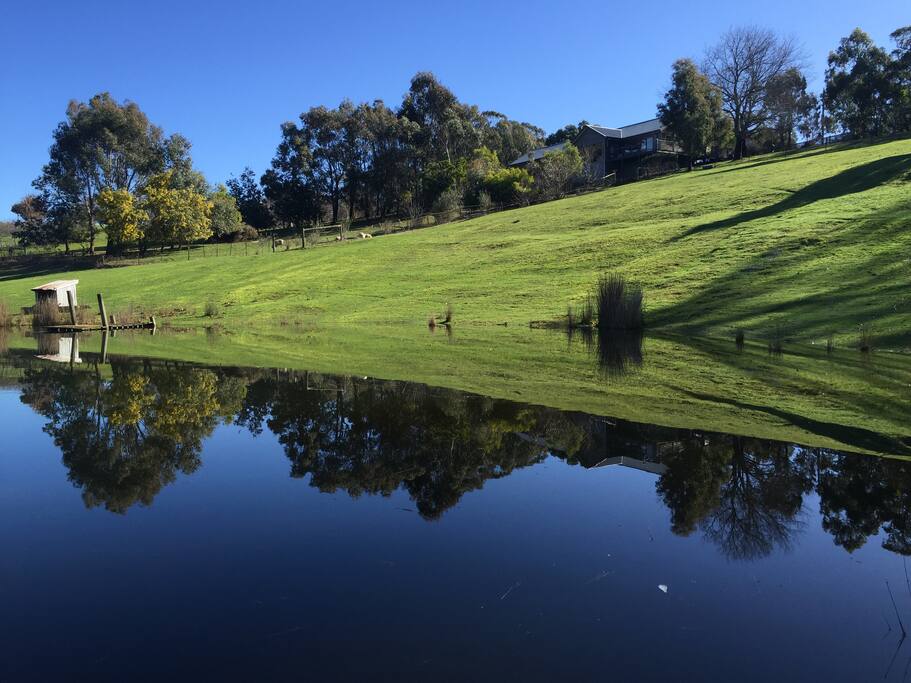 Stunning reflections