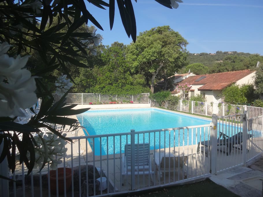 piscine sécurisée du domaine