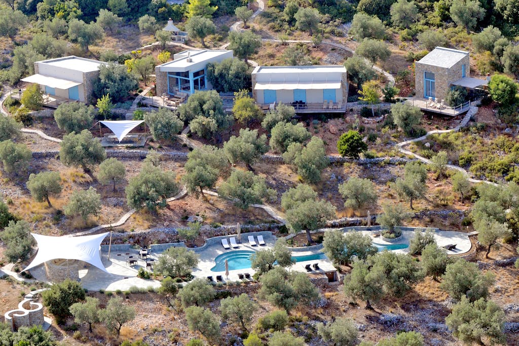 The villa, the olive grove, the swimming pool.