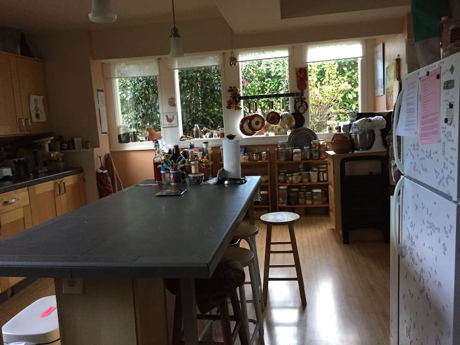 Kitchen in the daylight basement