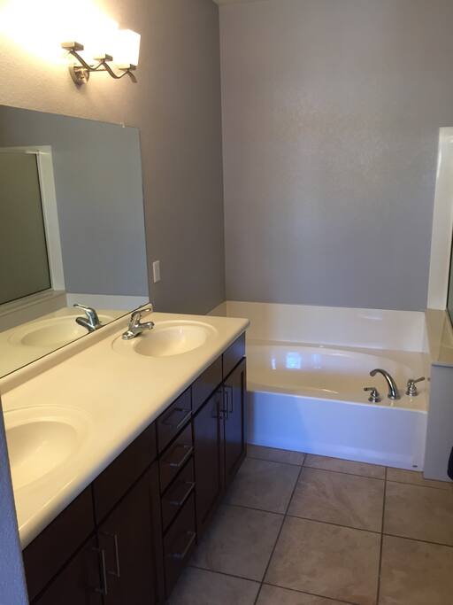 Master bathroom bath and shower
