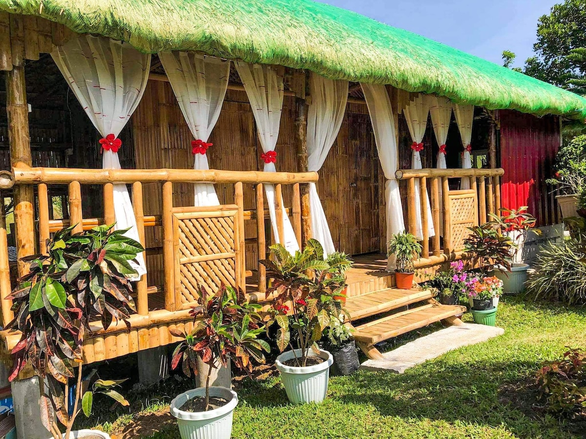 A cozy farmhouse is featured with a thatched roof and bamboo walls, enhanced by decorative red accents. Potted plants line the entrance, adding a touch of greenery, while sheer curtains frame the open windows, inviting natural light into the inviting space.