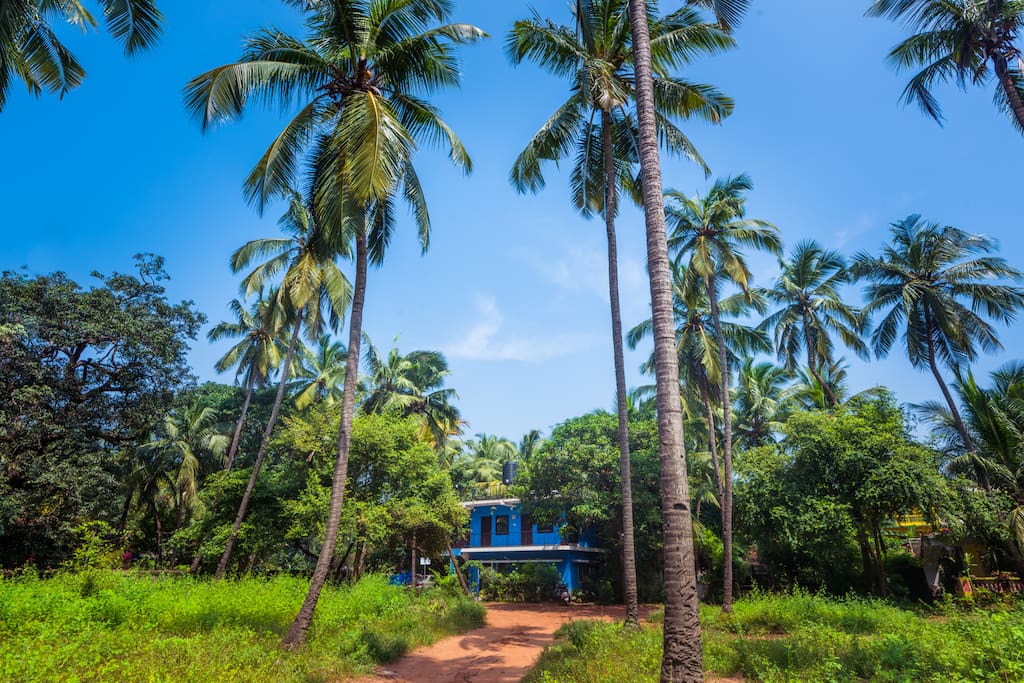 The Blue House - In the midst of nature.