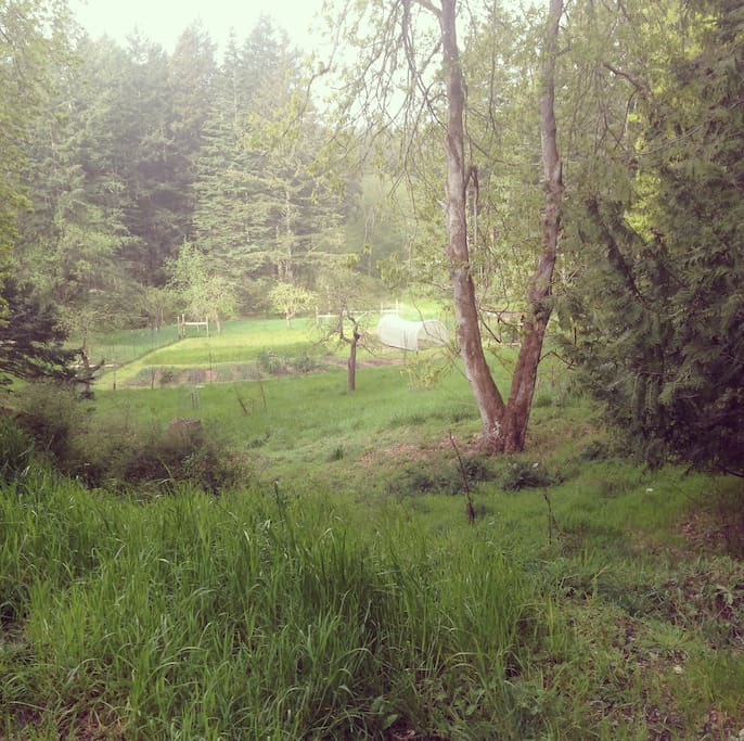 View of a garden and an orchard. Help yourself.