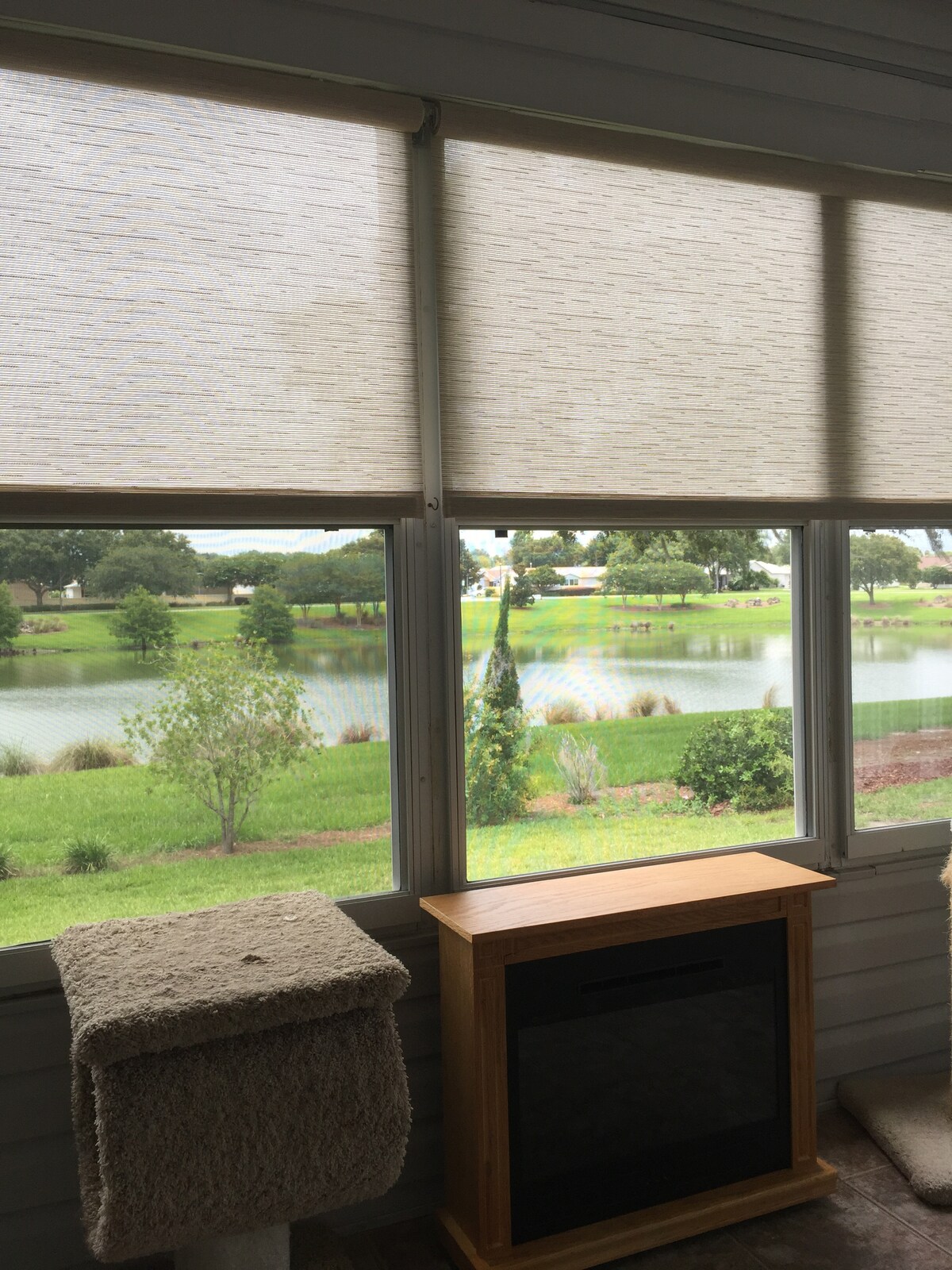 Large windows provide clear views of a serene pond surrounded by lush greenery. Sunlight filters softly through patterned shades, creating a calm atmosphere. A small wooden table is positioned near the windows, alongside two cozy seating areas.
