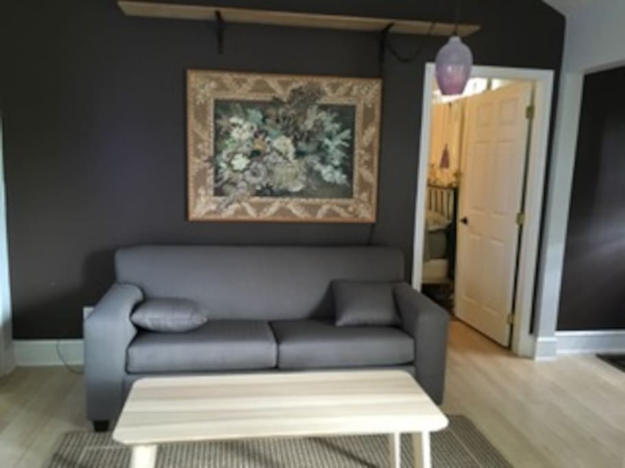 Living Room, sofa is a hide-a-bed. Very comfy.