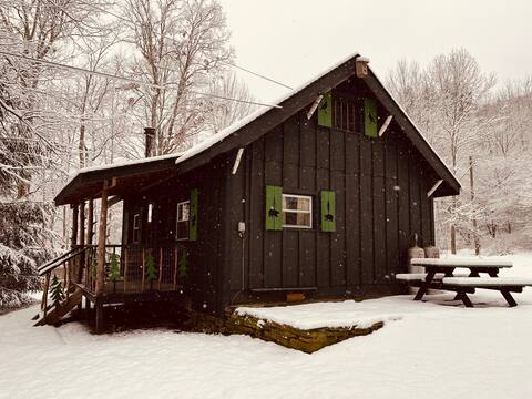 Catskill Mountain Cabin~wood stove+soaking tub