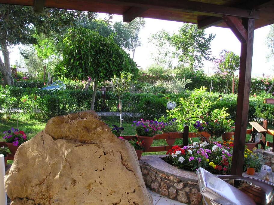 visione del parco-giardino che circonda l'alloggio