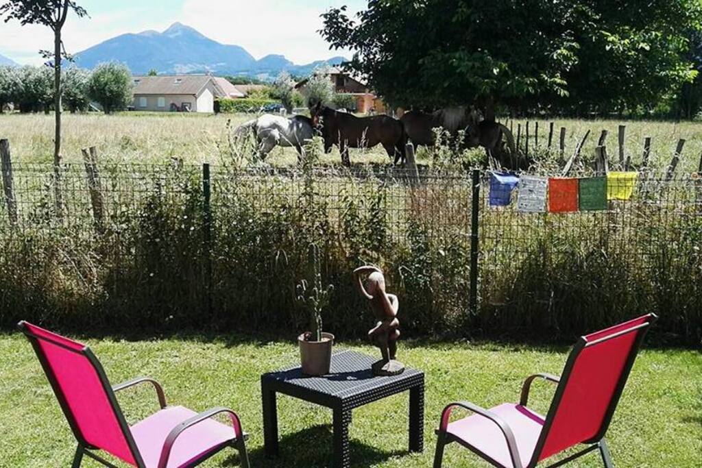 Les chevaux sont nos amis