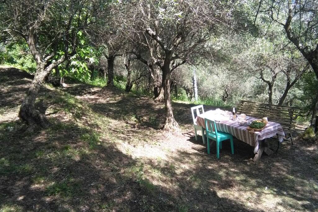 L'esterno e i terrazzamenti.