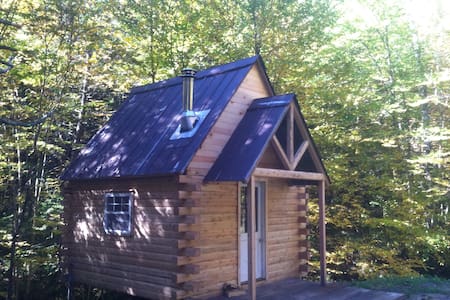 Cozy Little Log Cabin