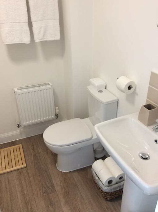 Guest bathroom
