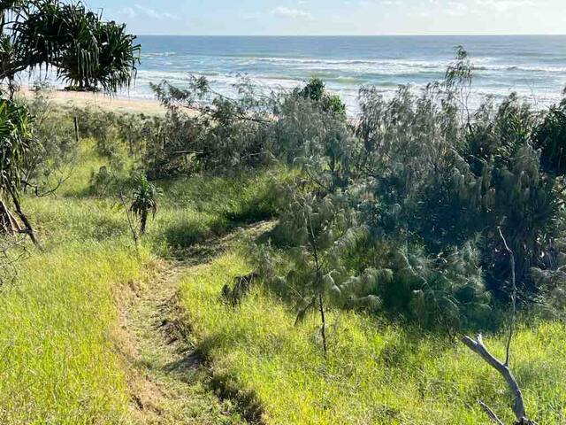 Yinneburra: Absolute beachfront at Yaroomba gallery image 4