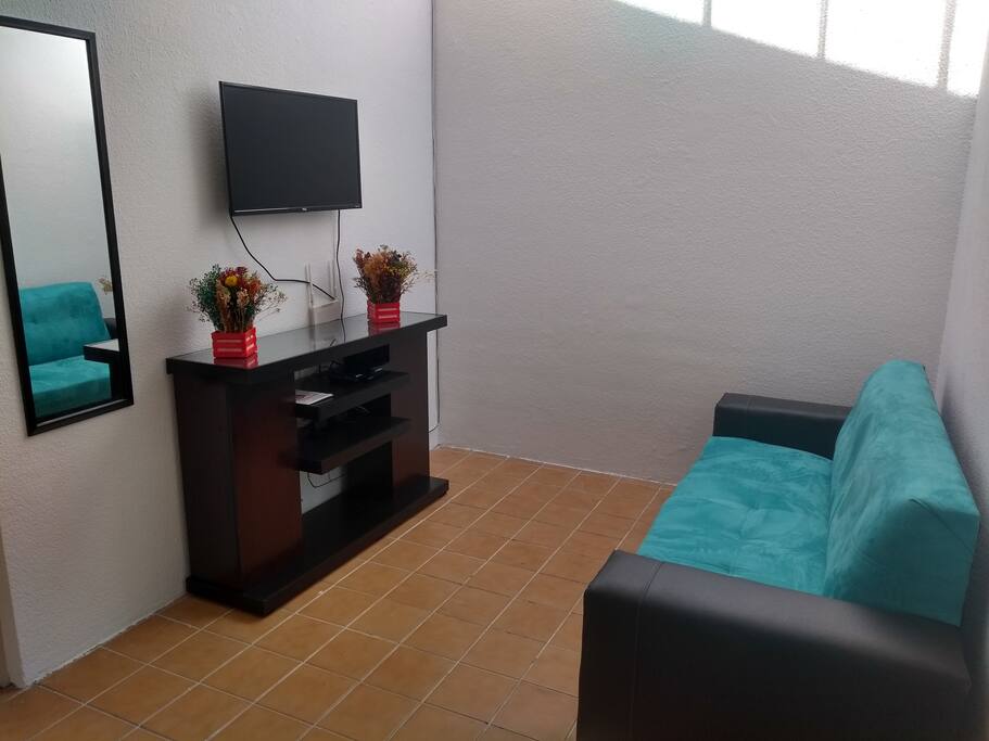 SALA DE TV CON NETFLIX