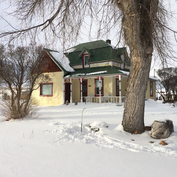 Winter wonderland