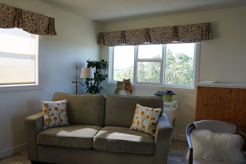 Living room double sofa bed