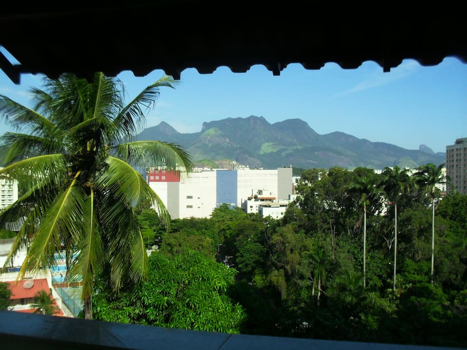 Varanda principal, com visão da floresta da tijuca, palmeira imperial.