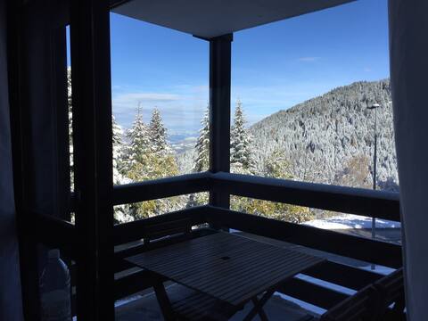 Très joli studio au pied des pistes