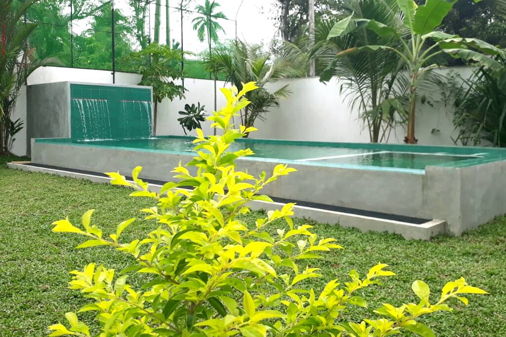 Garden with our new Pool