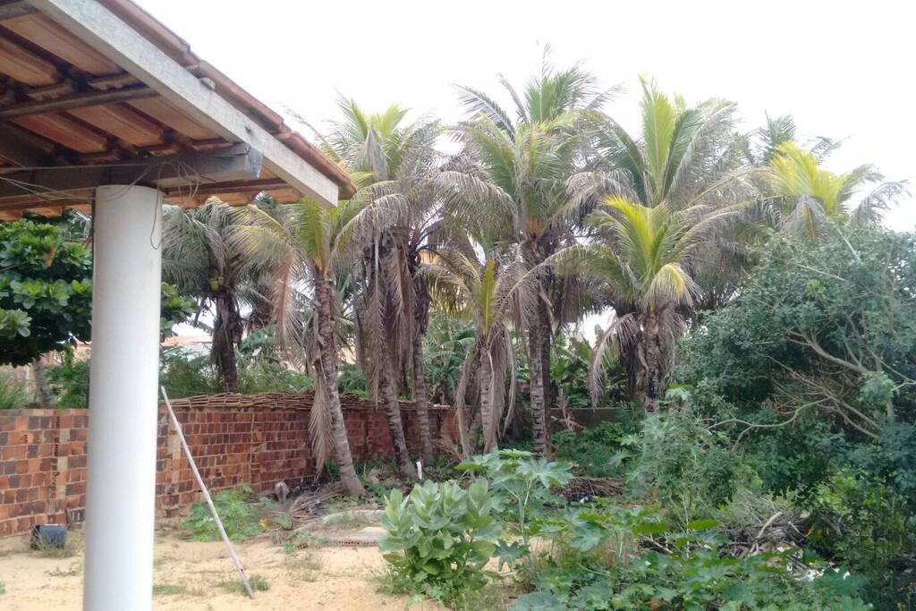 Quintal