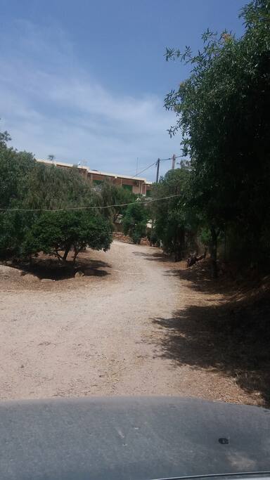Η ΕΙΣΟΔΟΣ