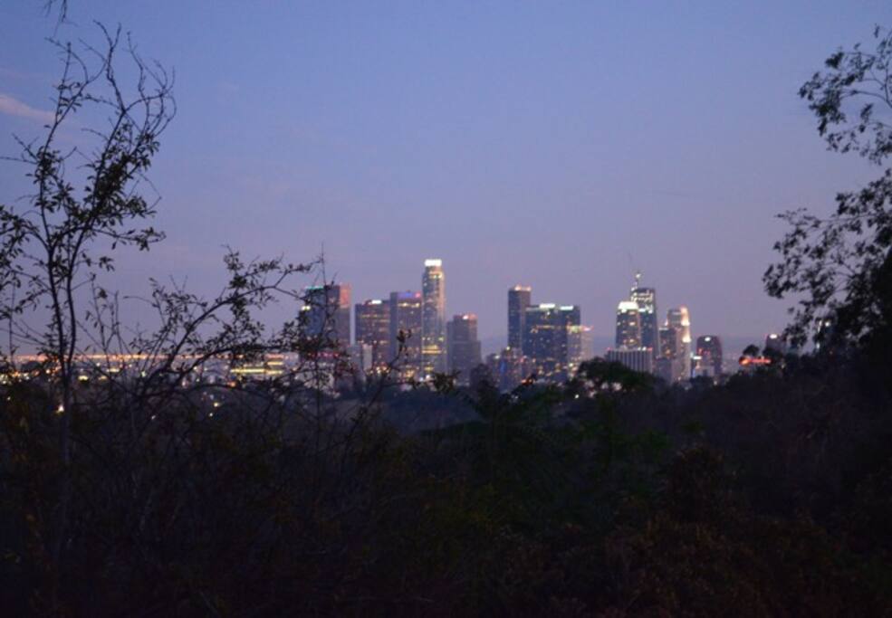 City view at night from front terrace.