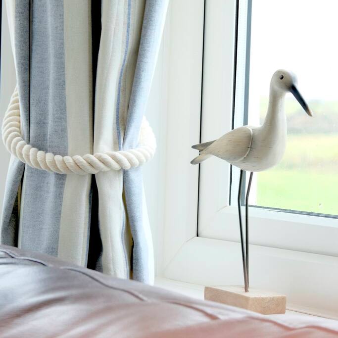 Sea birds....