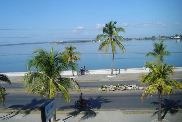 A serene view of a coastal promenade lined with palm trees, reflecting the calmness of the water. The shoreline is visible with a clear blue sky above, enhancing the natural beauty of the surroundings. A quiet street can be seen, with minimal activity adding to the peaceful atmosphere.