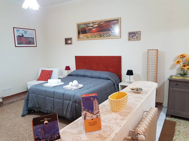 Full private one-bedroom apartment in Siena center