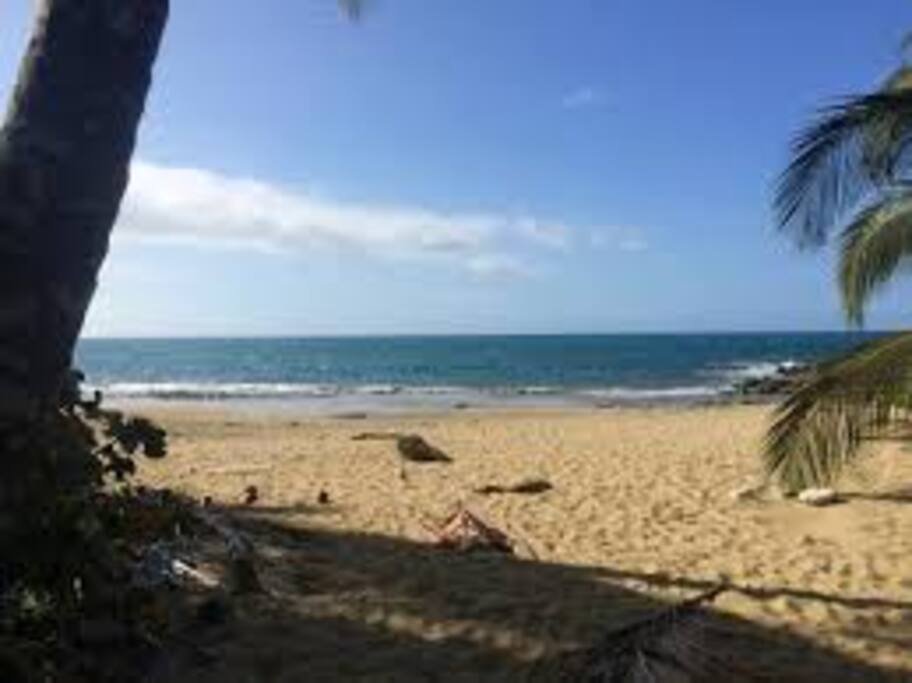 Closest Beach.