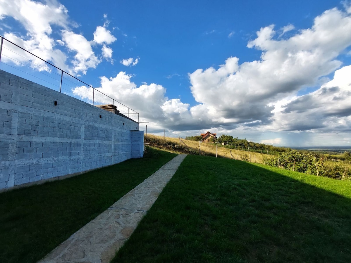 A spacious outdoor area features a well-maintained grassy lawn, bordered by a stone pathway leading towards a scenic view. The sky above is adorned with fluffy clouds, adding to the overall serene environment.